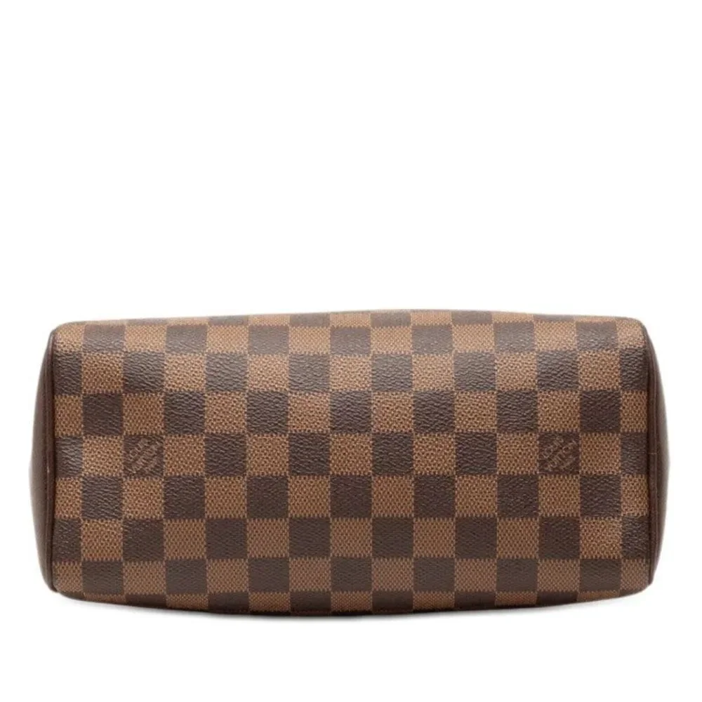 Louis Vuitton Damier Brera Handbag